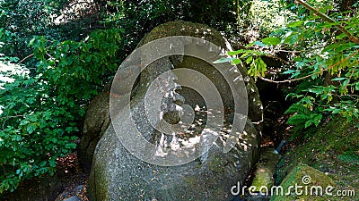 Sculpture of a killer whale in the Park of the Monsters of Bomarzo, a natural park adorned with numerous basalt sculptures dating Editorial Stock Photo