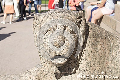 Sculpture of lions in Saint-Petersburg Stock Photo