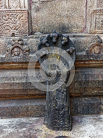 Sculpture of a snake Cobra at Madhukeshwara temple Editorial Stock Photo