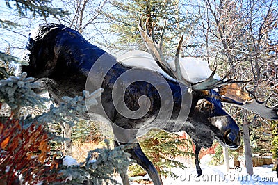 Sculptured Moose Coming out of the forest and snow. Stock Photo