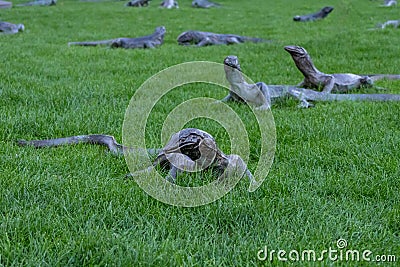 Sculptures of lizards on a green lawn in the city center of Amsterdam Editorial Stock Photo