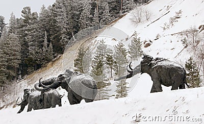 Sculptures of mammoths in Archeopark, Khanty - Mansiysk, Russia Located at the foot of glacial hill, Archeopark shows lifelike sta Editorial Stock Photo