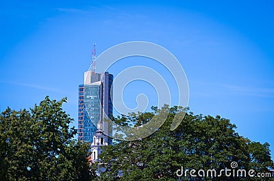 Scyscraper looking to blue sky on the park Stock Photo