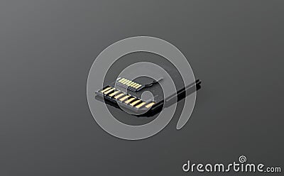 SD and Micro SD card. Stock Photo