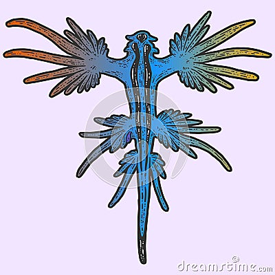 Sea animal. Glaucus atlanticus. Sketch scratch board imitation color. Vector Illustration