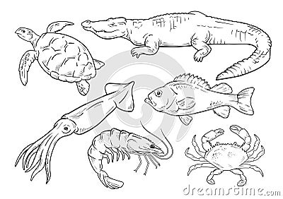 Sea animals line set Vector Illustration