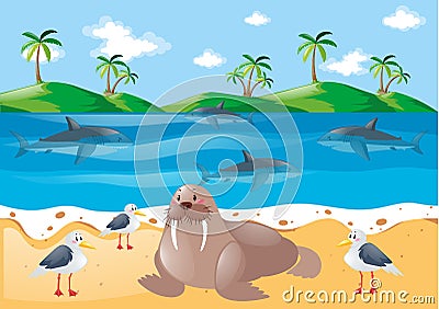 Sea animals and pigeons on the beach Vector Illustration