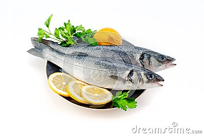 Sea bass Stock Photo