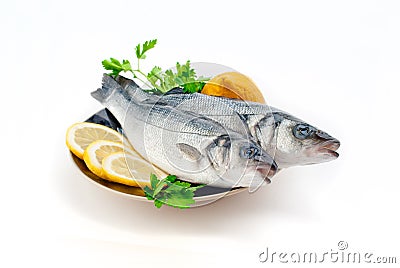 Sea bass Stock Photo