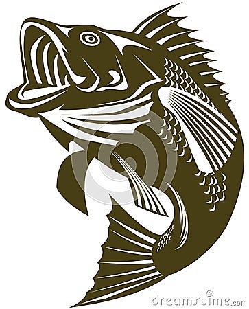 Sea Bass jumping Vector Illustration