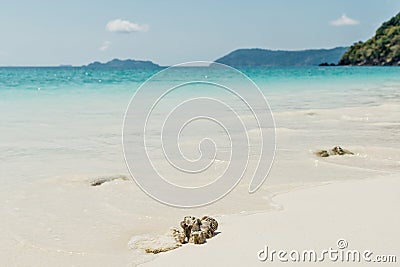 sea beach blue sky sand sun daylight relaxation landscape viewpoint Stock Photo