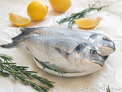 Sea bream Stock Photo