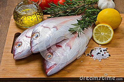 Sea bream Stock Photo