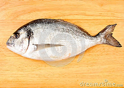 Sea Bream Stock Photo