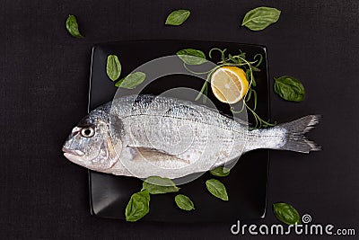 Sea bream on black plate with herbs. Stock Photo