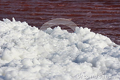 Sea bubble foam of the red salt lake, Namibia Stock Photo