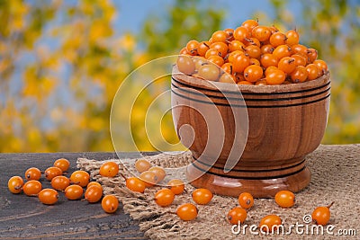 Sea-buckthorn berries in a wooden bowl on table with blurred garden background Stock Photo