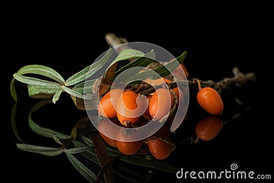 Sea buckthorn berry on black glass Stock Photo