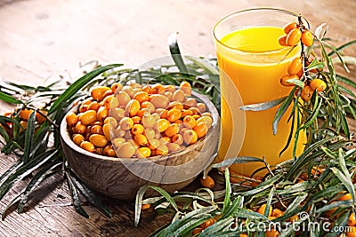 Sea buckthorn berry fresh harvest Stock Photo