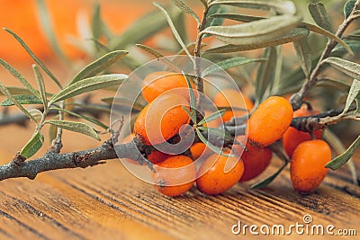 Sea buckthorn branch on wooden background in detail. Stock Photo