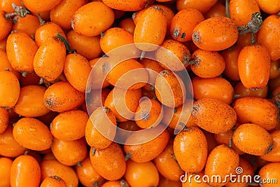 Sea buckthorn in full frame shot in background. Stock Photo