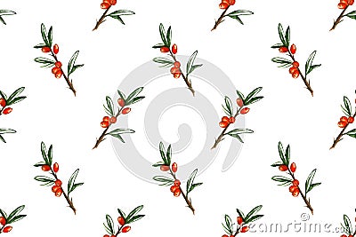 Sea buckthorn hand drawn seamless pattern Stock Photo