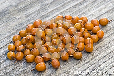 Sea buckthorn (Hippophae rhamnoides) barries. Stock Photo