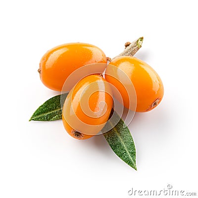 Sea buckthorn isolated on the white. With clipping path Stock Photo