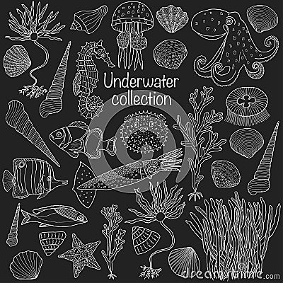 Sea collection: shells, starfish, seaweed, deep sea fish, seahorse Vector Illustration