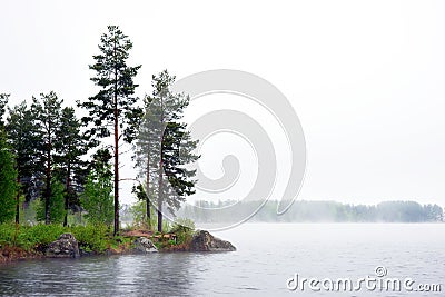 Sea with conifer trees in fog Stock Photo