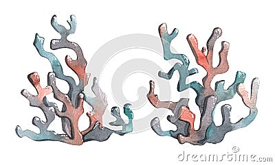 Sea corals in turquoise, gray and coral colors. Watercolor illustration, abstract, stylized. Isolated objects from a Cartoon Illustration