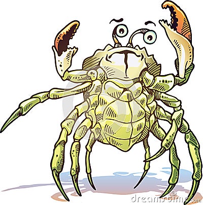 Sea Crab Vector Illustration