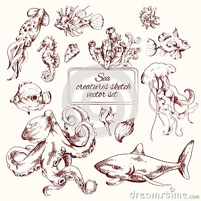 Sea creatures sketch Vector Illustration