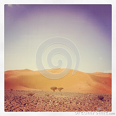 Sea, Desert, Abudhabi,UAE,Dubai Stock Photo