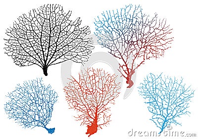 Sea fan corals, vector set Vector Illustration