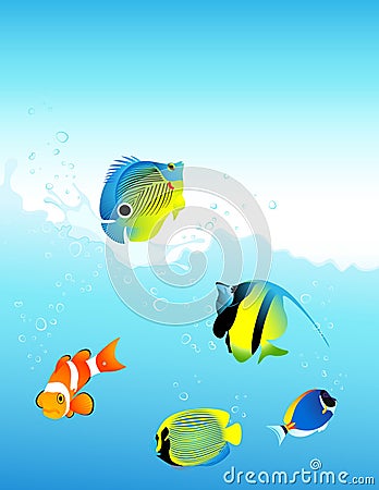 Sea fish Stock Photo