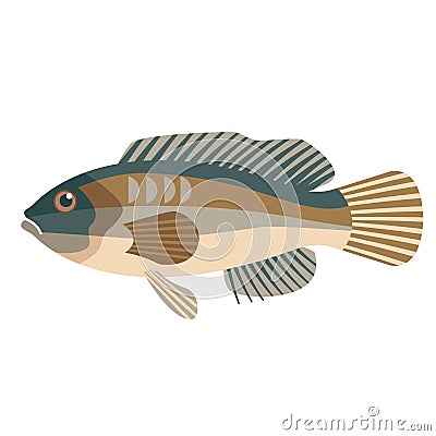 Sea fish flat illustration Vector Illustration