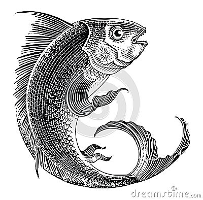 Sea fish jumping hand draw vintage engraving style black and white clip art isolated on white background Vector Illustration