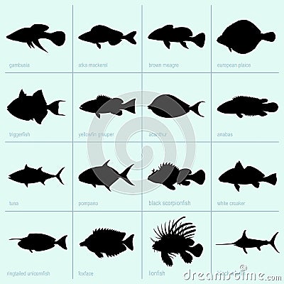 Sea fishes Vector Illustration