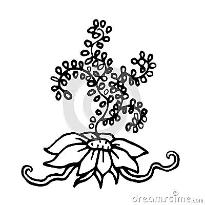 Sea flower. Ornamental plant. Algae. Icon. Vector illustration Vector Illustration