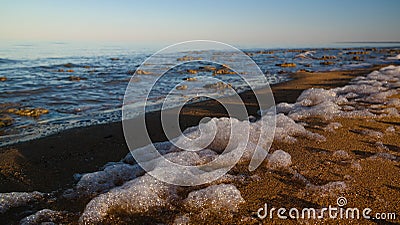 Sea foam at the beach of the Aral Sea near Aktumsuk cape at sunset, Karakalpakstan, Uzbekistan Stock Photo