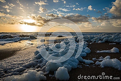 Sea foam on the beach at sunset Stock Photo