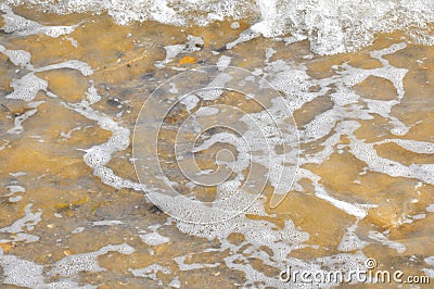Sea foam over yellow sand beach Stock Photo