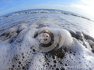 Sea foam washes large shells into the sea. Stock Photo