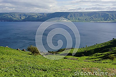 Sea of Galilee Stock Photo