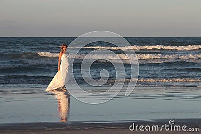 Sea Gazer Stock Photo