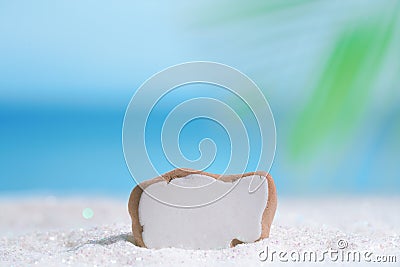 Sea glass seaglass on glitter sand with ocean Stock Photo