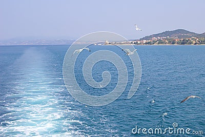 Sea gulls fly behind a ship Stock Photo