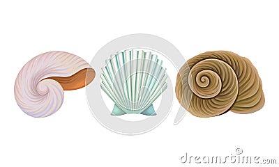 Sea Habitants with Barnacle and Spiral Conch Vector Set Vector Illustration