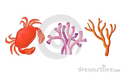 Sea Habitants with Crab and Coral Reef Vector Set Vector Illustration